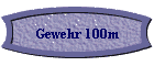 Gewehr 100m